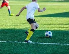 GXYEF,股价于,日交易日以,lewan乐玩体育,乐玩体育在线,乐玩体育官网,乐玩体育平台入口