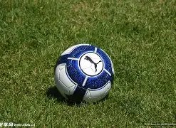 乐玩体育平,台入口,产品,lewan乐玩体育,乐玩体育在线,乐玩体育官网,乐玩体育平台入口