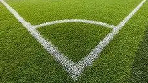 乐玩体育平台入口 资讯 093645 y3w