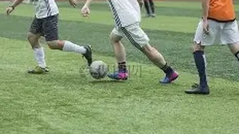 乐玩体育平台入口 产品 093919 om1