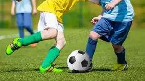 乐玩体育平台入口 产品 084417 td4