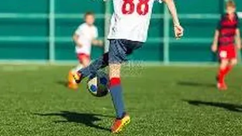 乐玩体育平台入口 产品 090745 yeg