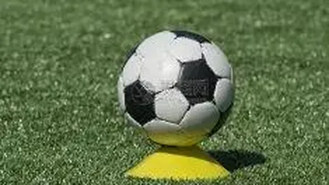 乐玩体育平台入口 资讯 090748 fwg