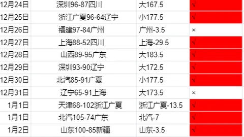 亚残运会田径赛场：速度与力量共绘央视梦想舞台